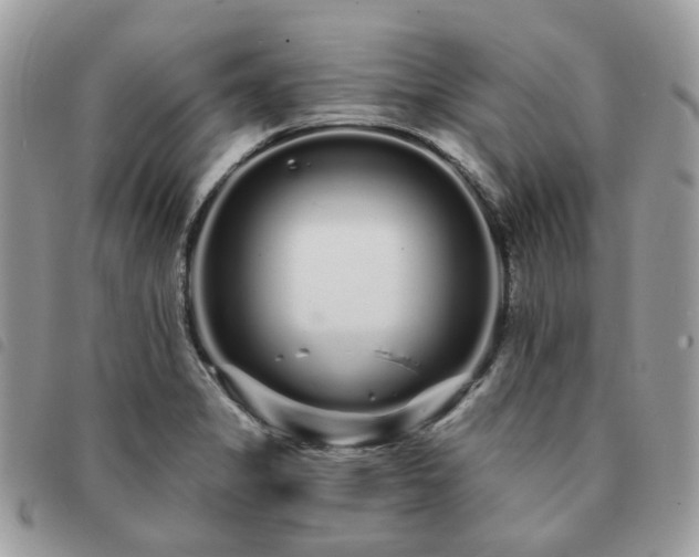 X0000091311325200708171406