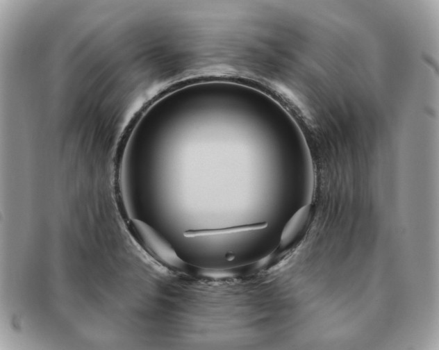 X0000091311326200708171406