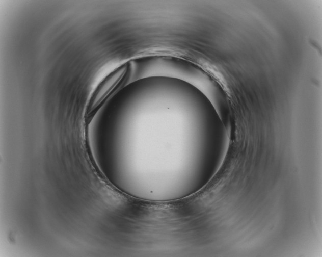 X0000091311328200708171406