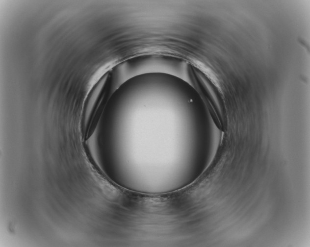 X0000091311330200708171406