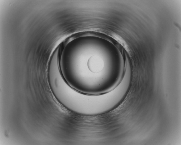 X0000091311332200708171406