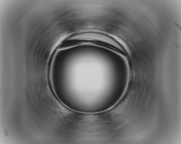 X0000091311333200708171406