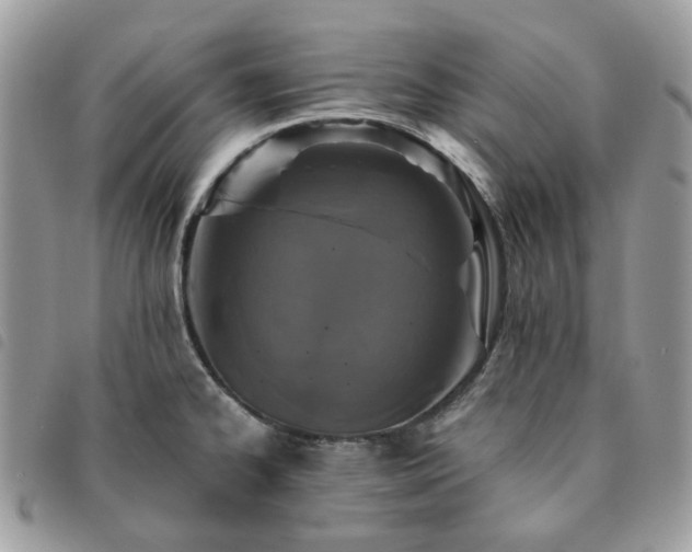 X0000091311334200708171406