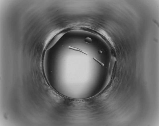 X0000091311336200708171406