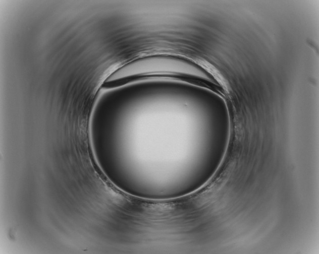 X0000091311337200708171406