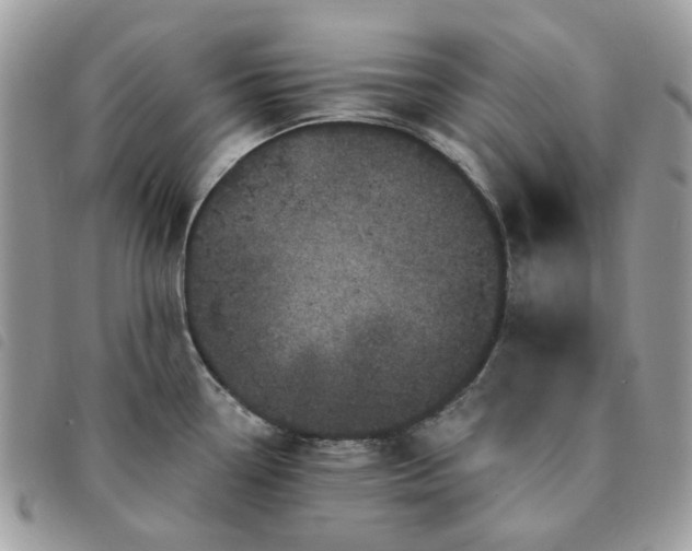 X0000091311338200708171406