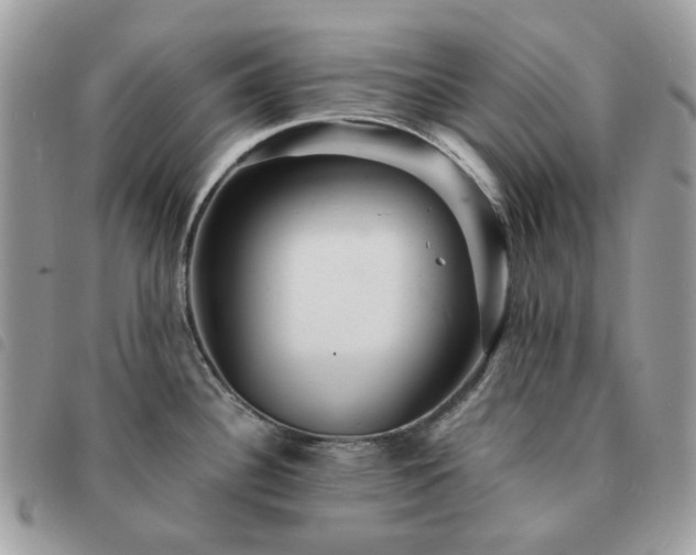 X0000091311340200708171406