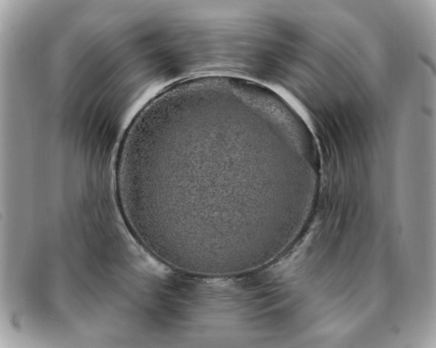 X0000091311341200708171406