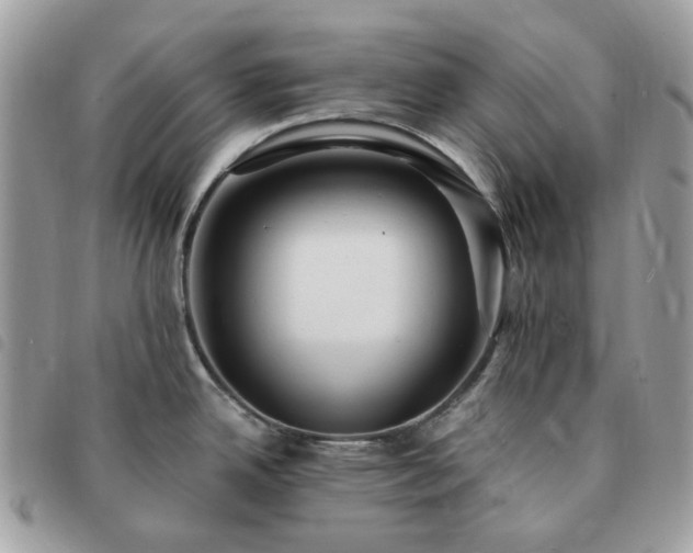 X0000091311342200708171406