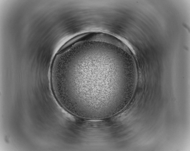 X0000091311343200708171406