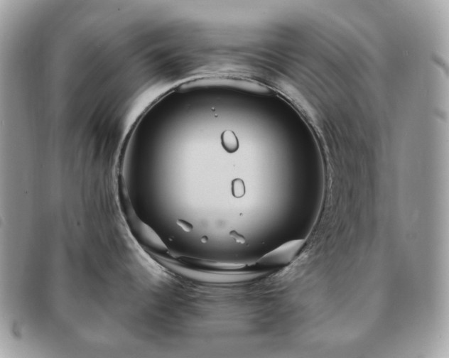 X0000091311344200708171406