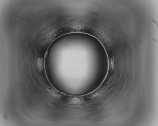 X0000091311347200708171406