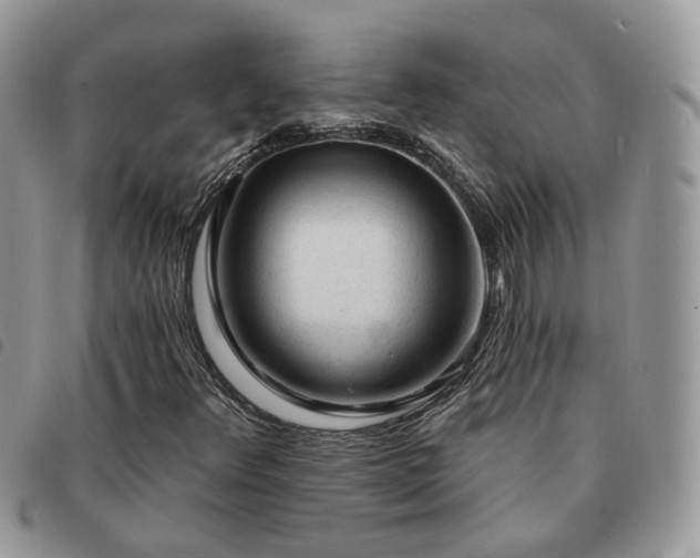 X0000091311348200708171406