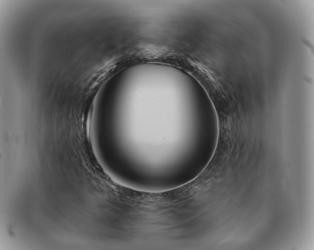 X0000091311349200708171406