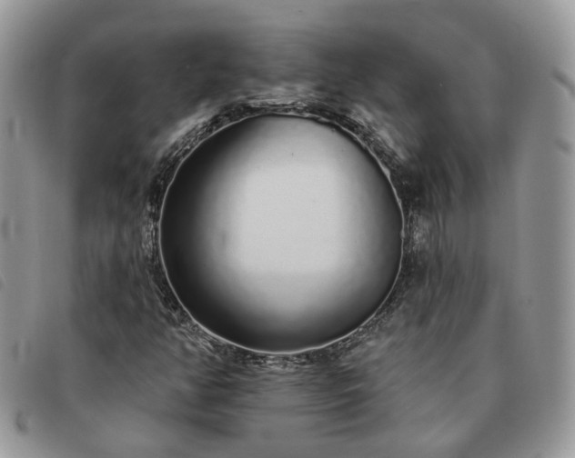 X0000091311350200708171406