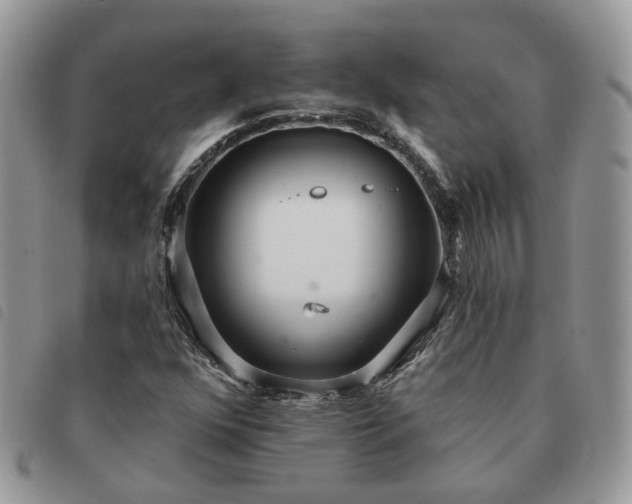 X0000091311352200708171406