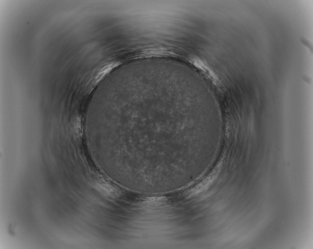 X0000091311353200708171406