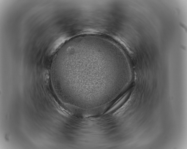 X0000091311355200708171406