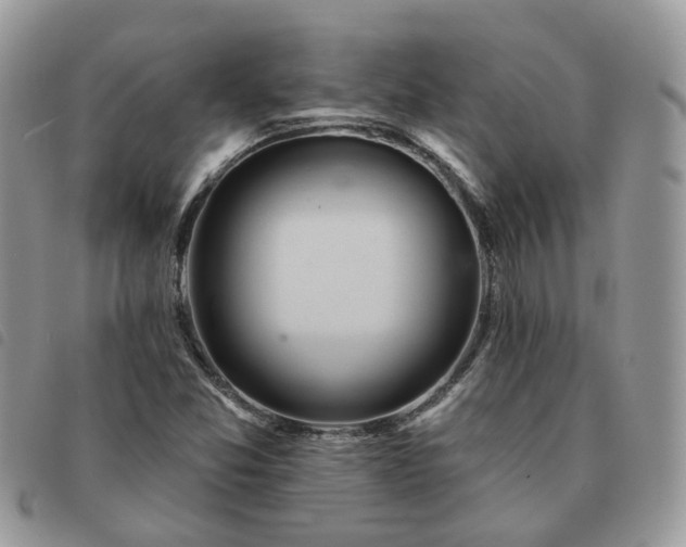 X0000091311357200708171406