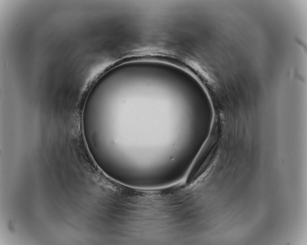 X0000091311358200708171405