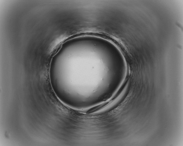 X0000091311359200708171405