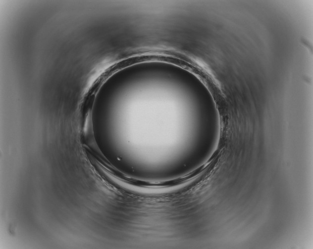 X0000091311360200708171405