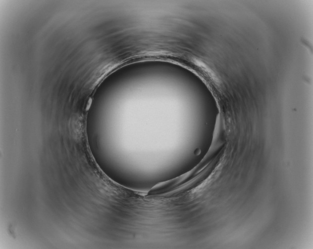 X0000091311361200708171405