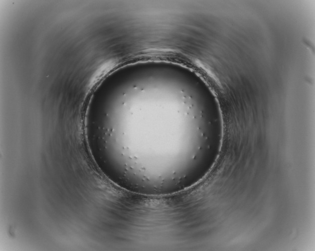 X0000091311362200708171405