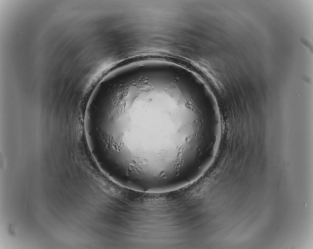 X0000091311363200708171405