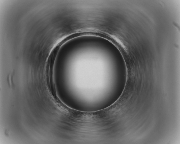 X0000091311364200708171405