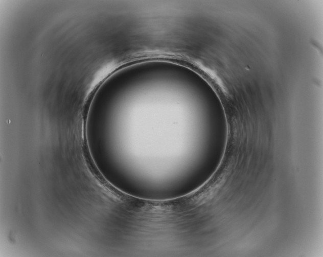 X0000091311365200708171405