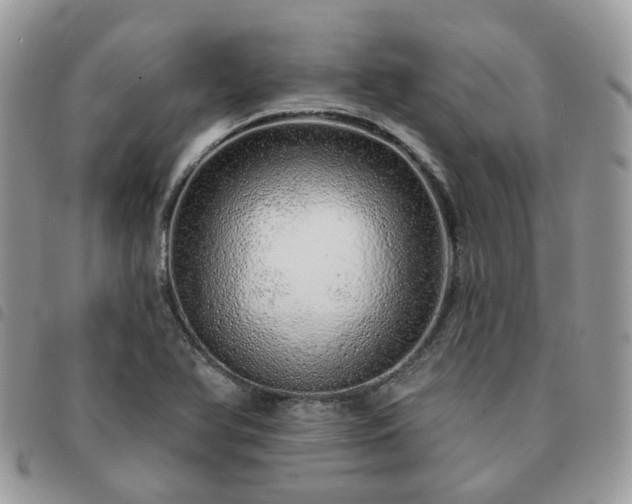 X0000091311366200708171405