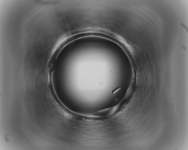 X0000091311368200708171405