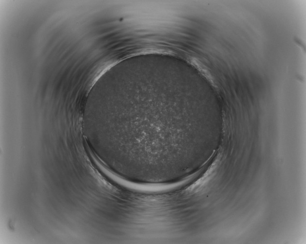 X0000091311369200708171405