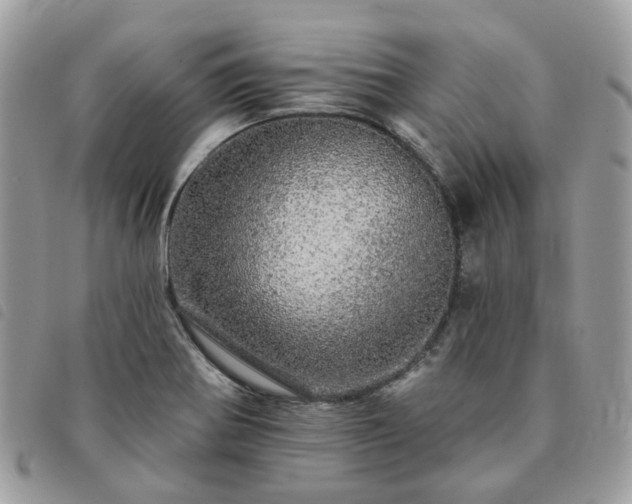 X0000091311370200708171405