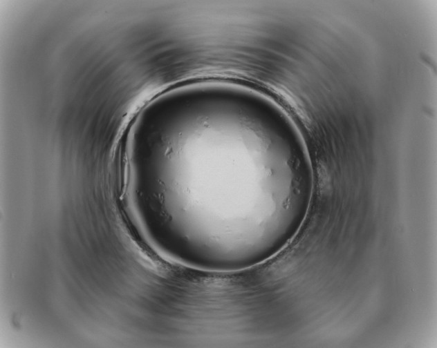 X0000091311371200708171405