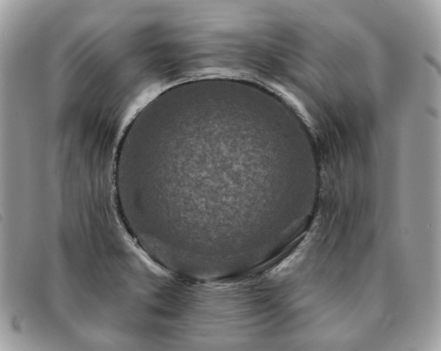 X0000091311373200708171405