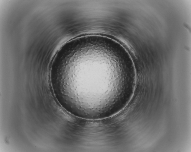 X0000091311374200708171405