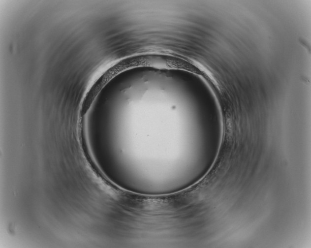 X0000091311379200708171405