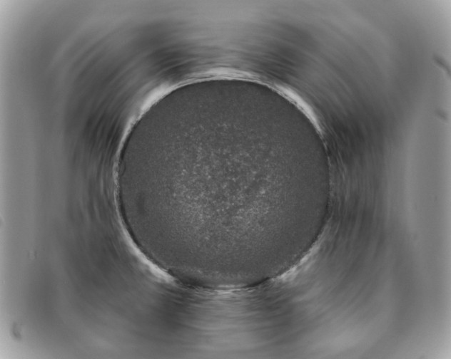 X0000091311381200708171405