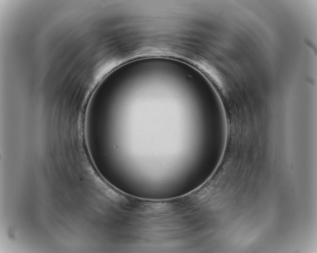 X0000091311382200708171405