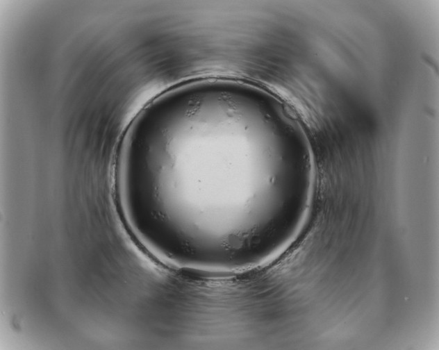 X0000091311383200708171405