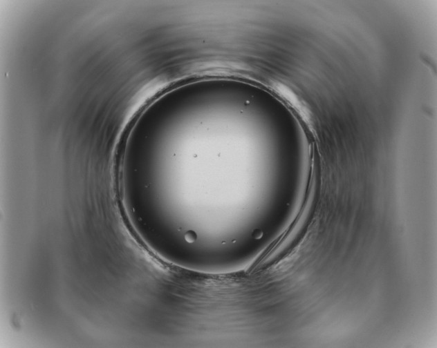 X0000091311384200708171405