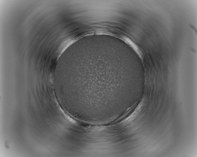 X0000091311385200708171405