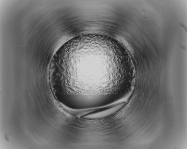 X0000091311386200708171405