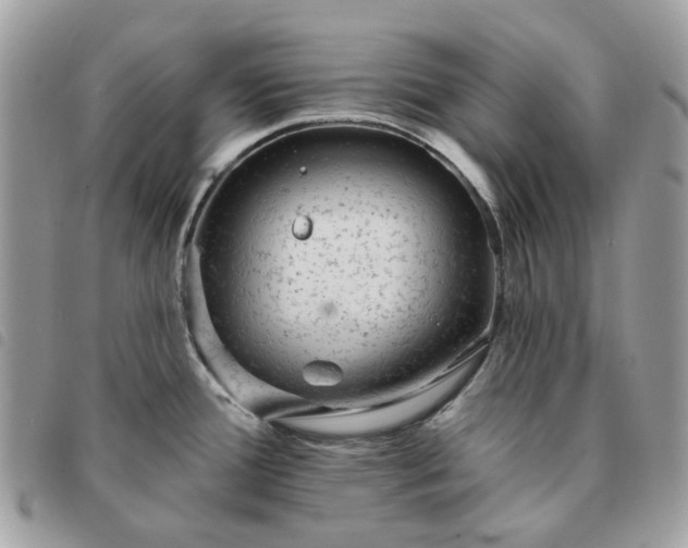 X0000091311388200708171405