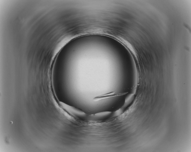 X0000091311389200708171405