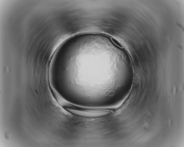 X0000091311390200708171405