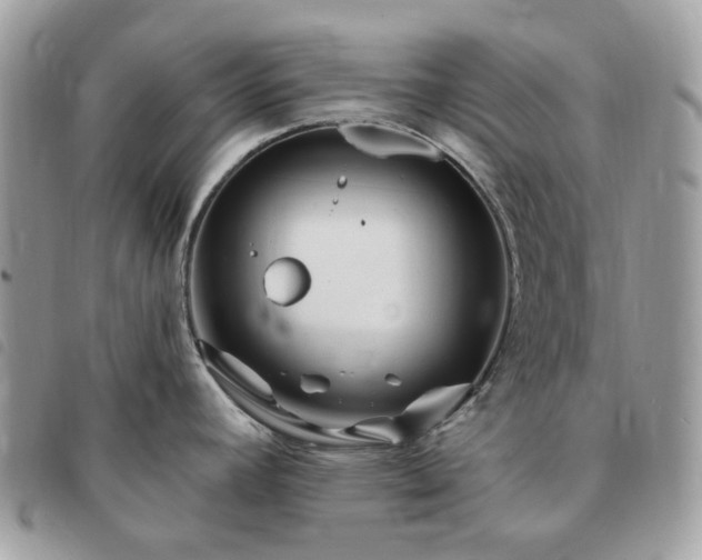 X0000091311392200708171405