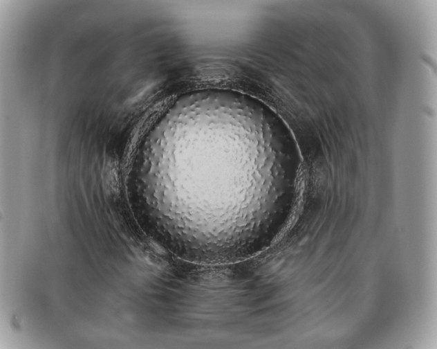 X0000091311394200708171404